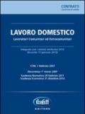 Lavoro domestico. Lavoratori comunitari ed extracomunitari