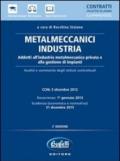 Metalmeccanici industria. Addetti all'industria metalmeccanica privata e alla gestione degli impianti