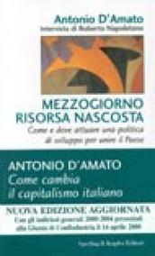 Mezzogiorno risorsa nascosta. Come e dove attuare una politica di sviluppo per unire il paese