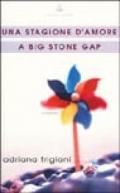 Una stagione d'amore a Big Stone Gap