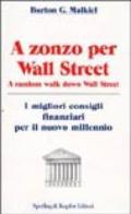 A Zonzo per Wall Street. A random Walk down Wall Street