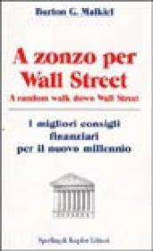 A Zonzo per Wall Street. A random Walk down Wall Street
