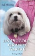 Un piccolo grande amore