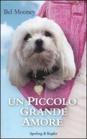 Un piccolo grande amore