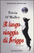 Il lungo viaggio di Briggs