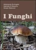 Guida ai funghi in Italia. Ediz. illustrata