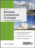 Biomasse e produzione di energia. Dalla gassificazione alla pirolisi