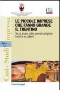 Le piccole imprese che fanno grande il Trentino. Terza analisi sulle aziende artigiane trentine eccellenti