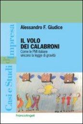 Il volo dei calabroni. Come le PMI italiane vincono la legge di gravità