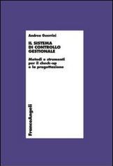 Il sistema di controllo gestionale. Metodi e strumenti per il check-up e la progettazione