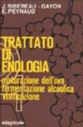 Trattato di enologia: 1