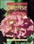 Ortensie