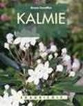 Kalmie