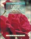Rose moderne