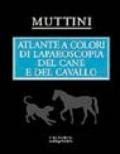 Atlante a colori di laparoscopia del cane e del cavallo