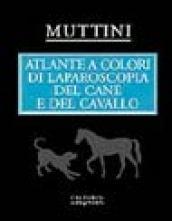 Atlante a colori di laparoscopia del cane e del cavallo