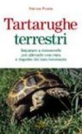 Tartarughe terrestri