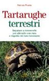 Tartarughe terrestri