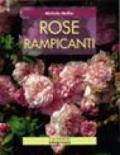 Rose rampicanti