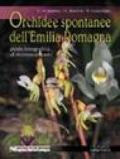 Orchidee spontanee dell'Emilia Romagna. Guida fotografica al riconoscimento