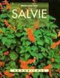 Salvie