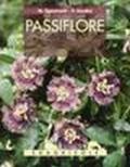 Passiflore