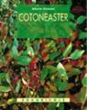 Cotoneaster