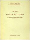 Corso di diritto del lavoro. Il rapporto individuale di lavoro