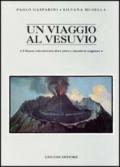 Un viaggio al Vesuvio. Il Vesuvio visto attraverso diari, lettere e resoconti di viaggiatori