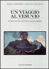 Un viaggio al Vesuvio. Il Vesuvio visto attraverso diari, lettere e resoconti di viaggiatori