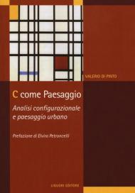 C come paesaggio. Analisi configurazionale e paesaggio urbano