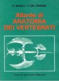 Atlante di Anatomia dei Vertebrati