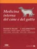 Medicina interna del cane e del gatto