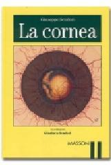 La cornea