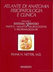 Sistema nervoso: 2