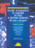 Esame ecografico di addome, occhio e sistema nervoso del cane e del gatto. Atlante a colori