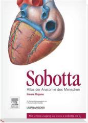 Sobotta: 2