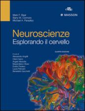 Neuroscienze. Esplorando il cervello