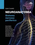 Neuroanatomia. Sistema nervoso periferico