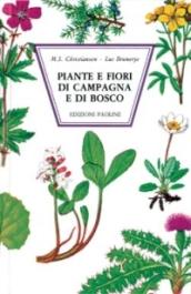 Piante e fiori di campagna e di bosco