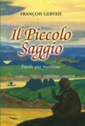 Il piccolo saggio. Parole per maturare