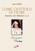 Come ciottolo di fiume. Anastasio card. Ballestrero ocd