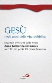 Gesù negli anni della vita pubblica. Secondo le visioni della beata Anna Katharina Emmerick raccolte dal poeta Clemens Brentano