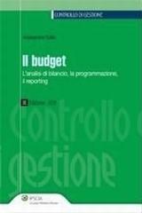 Il budget. L'analisi di bilancio, la programmazione, il reporting