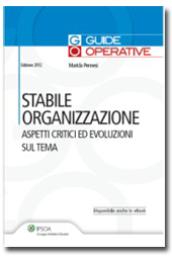 Stabile organizzazione. Aspetti critici ed evoluzioni sul tema