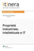 Proprietà industriale, intellettuale e IT