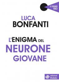 L' enigma del neurone giovane