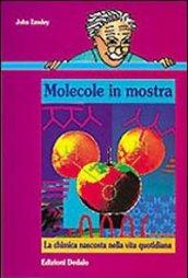 Molecole in mostra. La chimica nascosta nella vita quotidiana