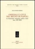 Ospedali e città nel regno di Napoli. Le Annunziate. Istituzioni, archivi e fonti (secc. XIV-XIX)