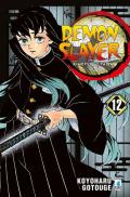 Demon slayer. Kimetsu no yaiba. Vol. 12